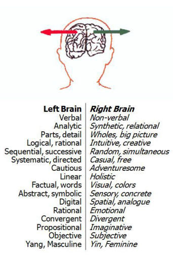 Image result for right and left brain functions